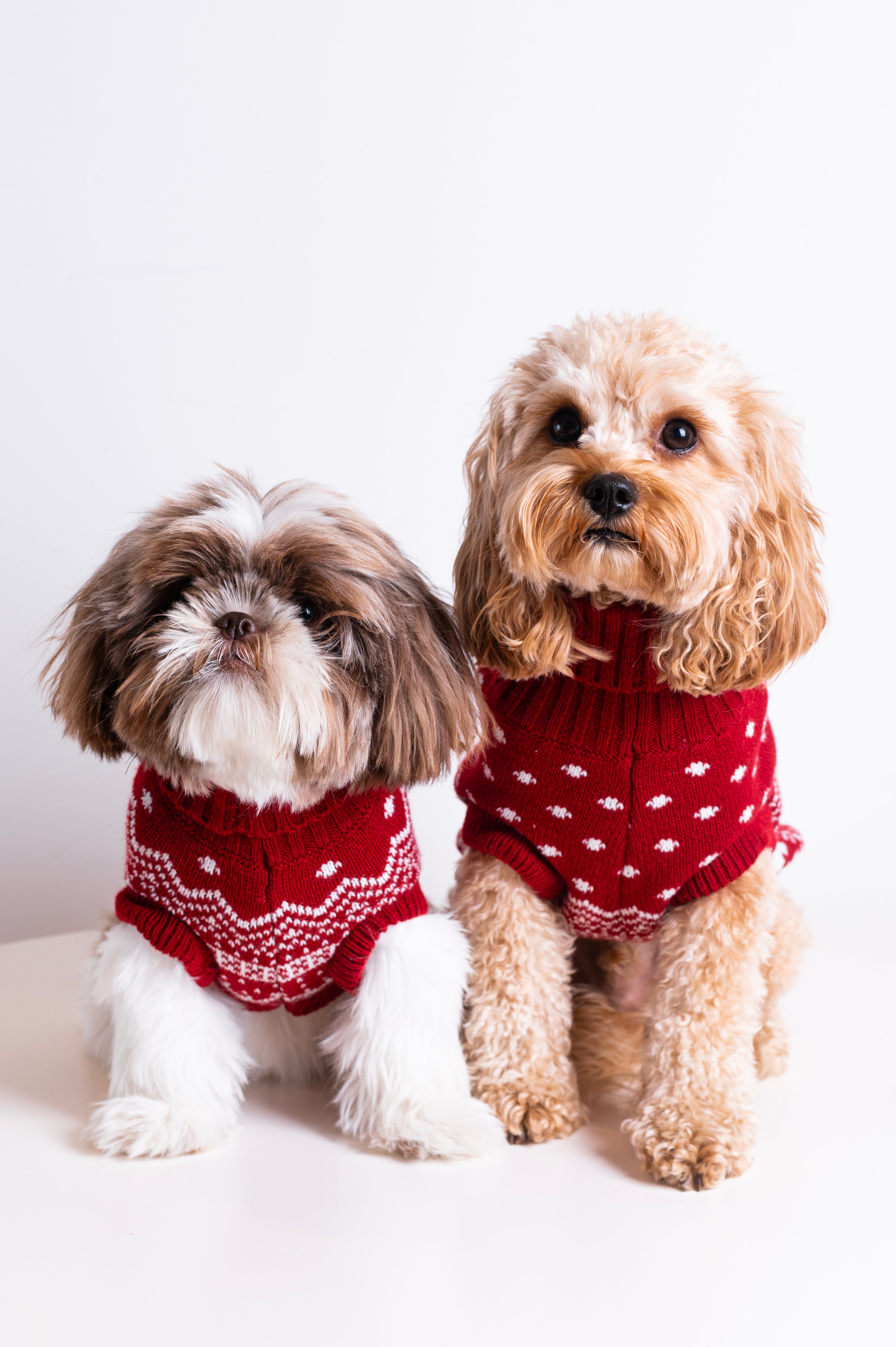 The Dog Holiday Onesie Red