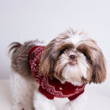 The Dog Holiday Onesie Red