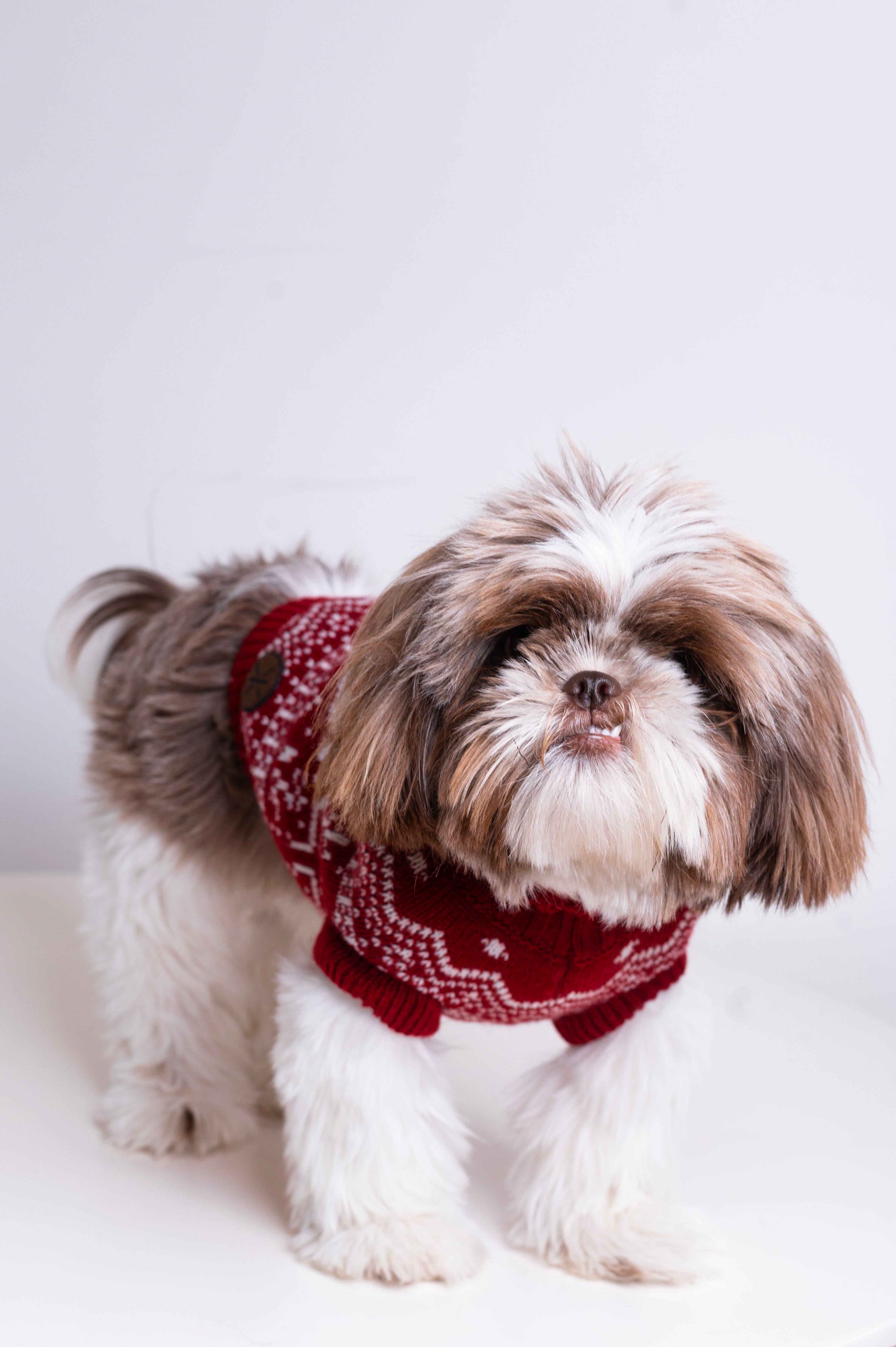 The Dog Holiday Onesie Red
