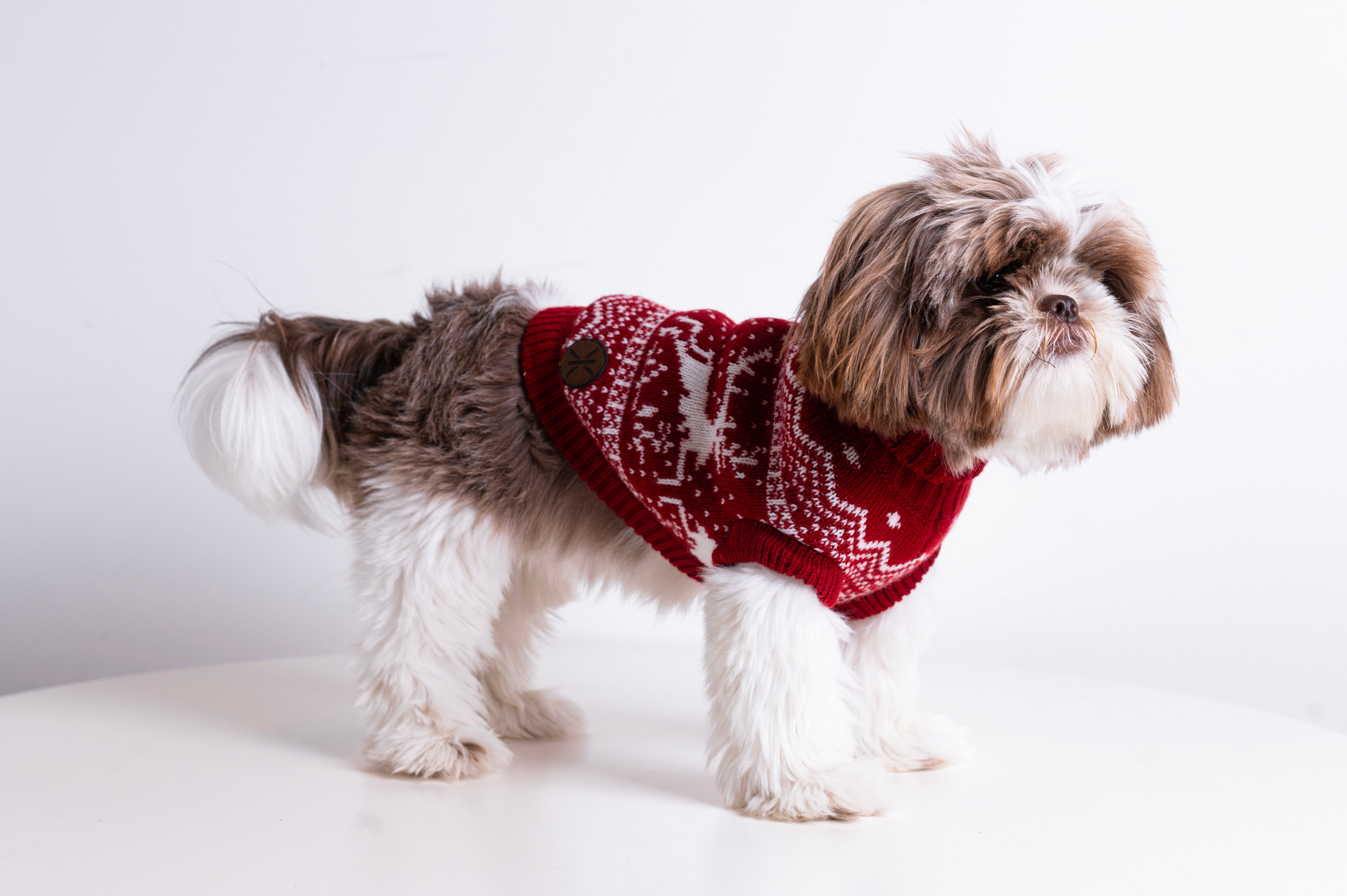 The Dog Holiday Onesie Red