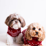 The Dog Holiday Onesie Red