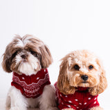 The Dog Holiday Onesie Red