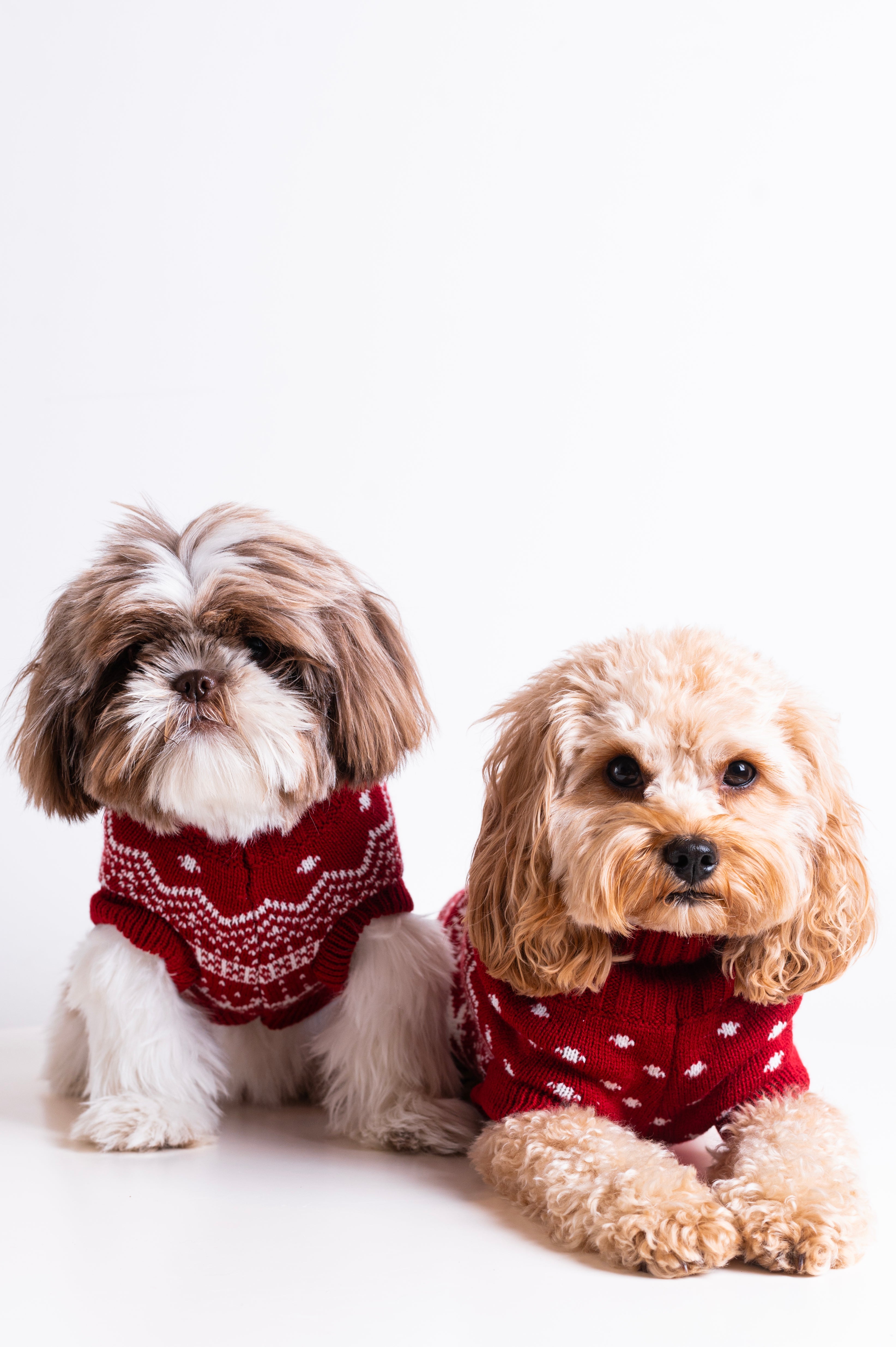 The Dog Holiday Onesie Red