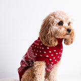 The Dog Holiday Onesie Red