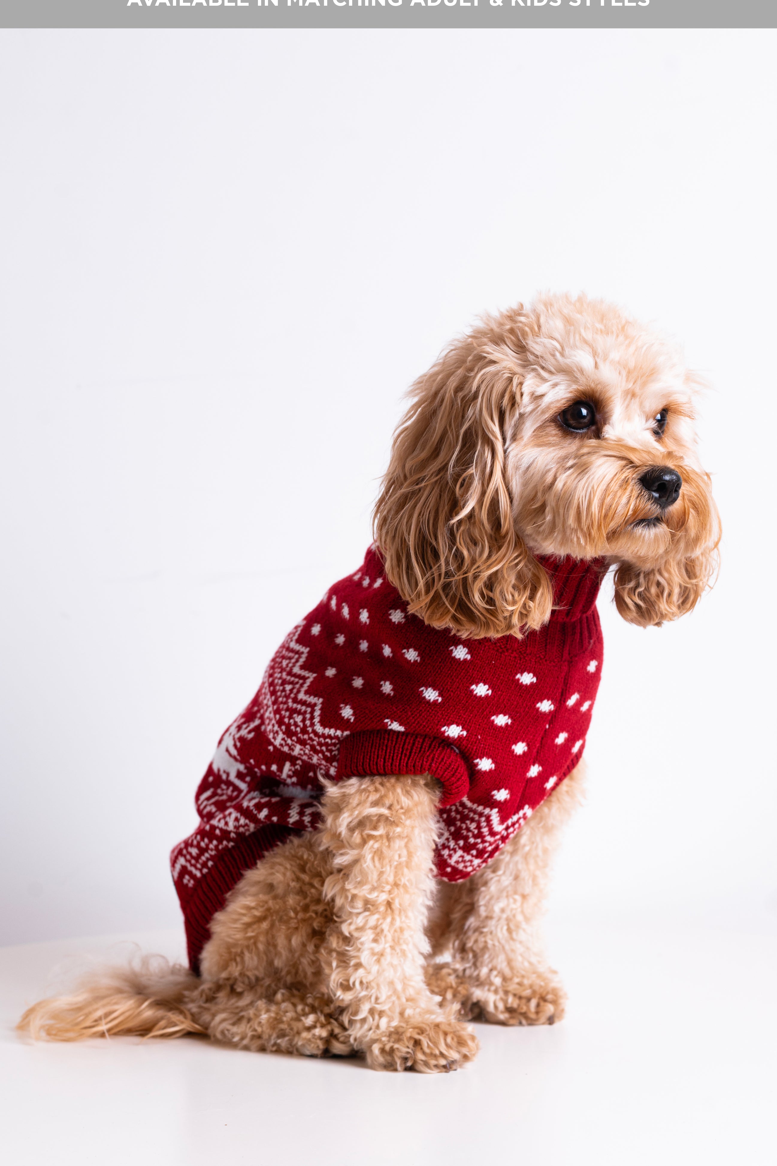 The Dog Holiday Onesie Red