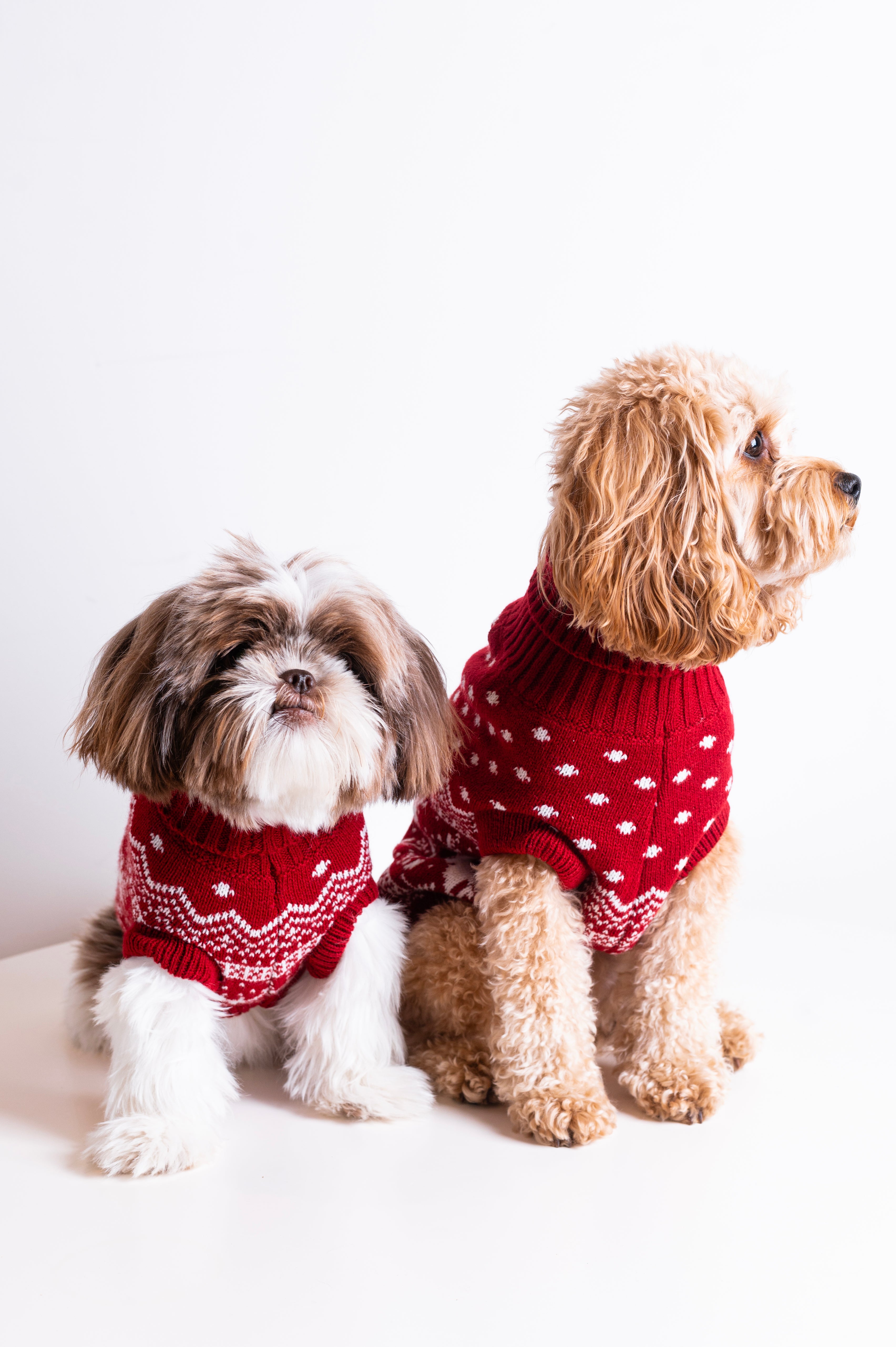 The Dog Holiday Onesie Red