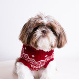The Dog Holiday Onesie Red