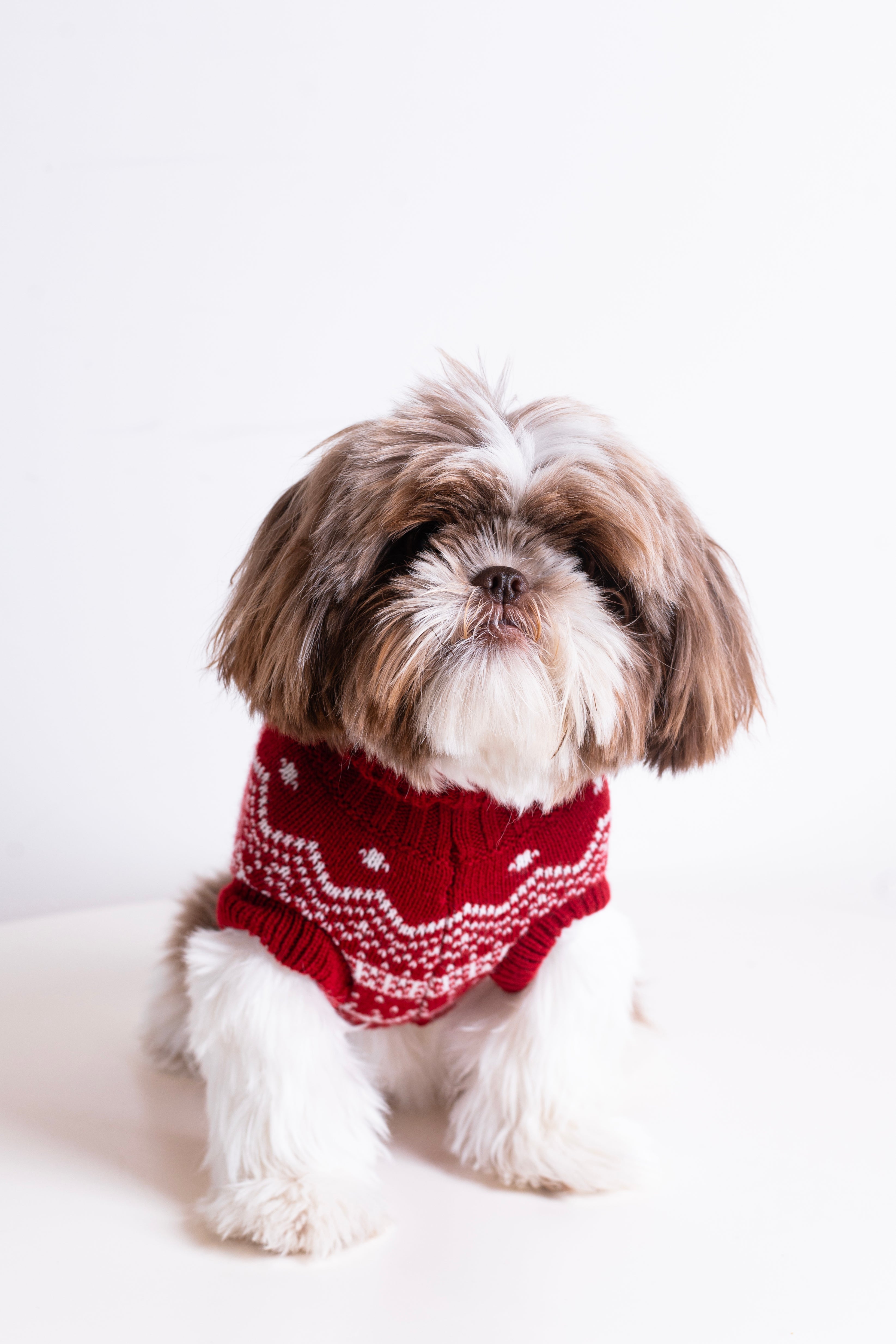 The Dog Holiday Onesie Red