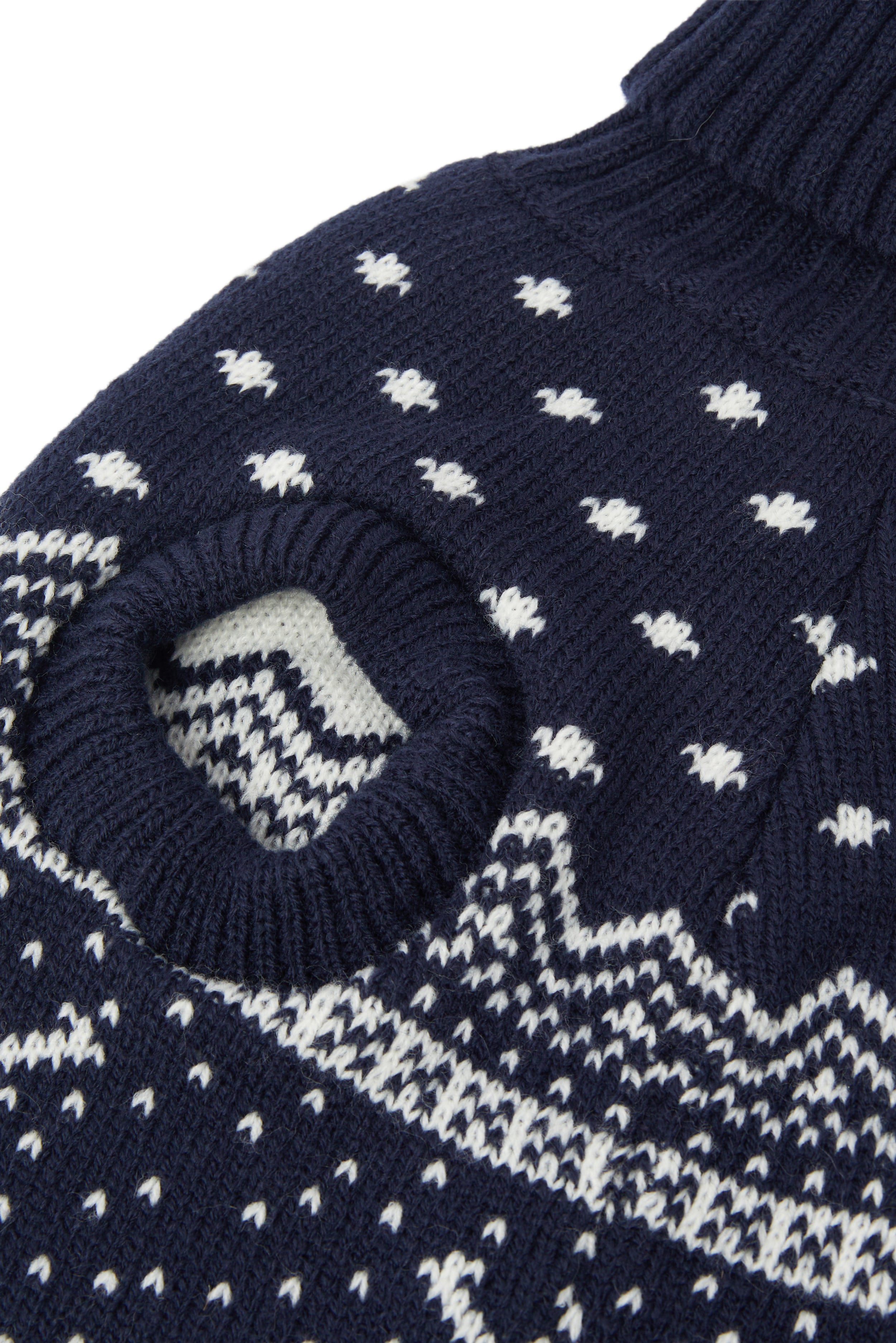 Holidays Are Coming Pet Suit Navy