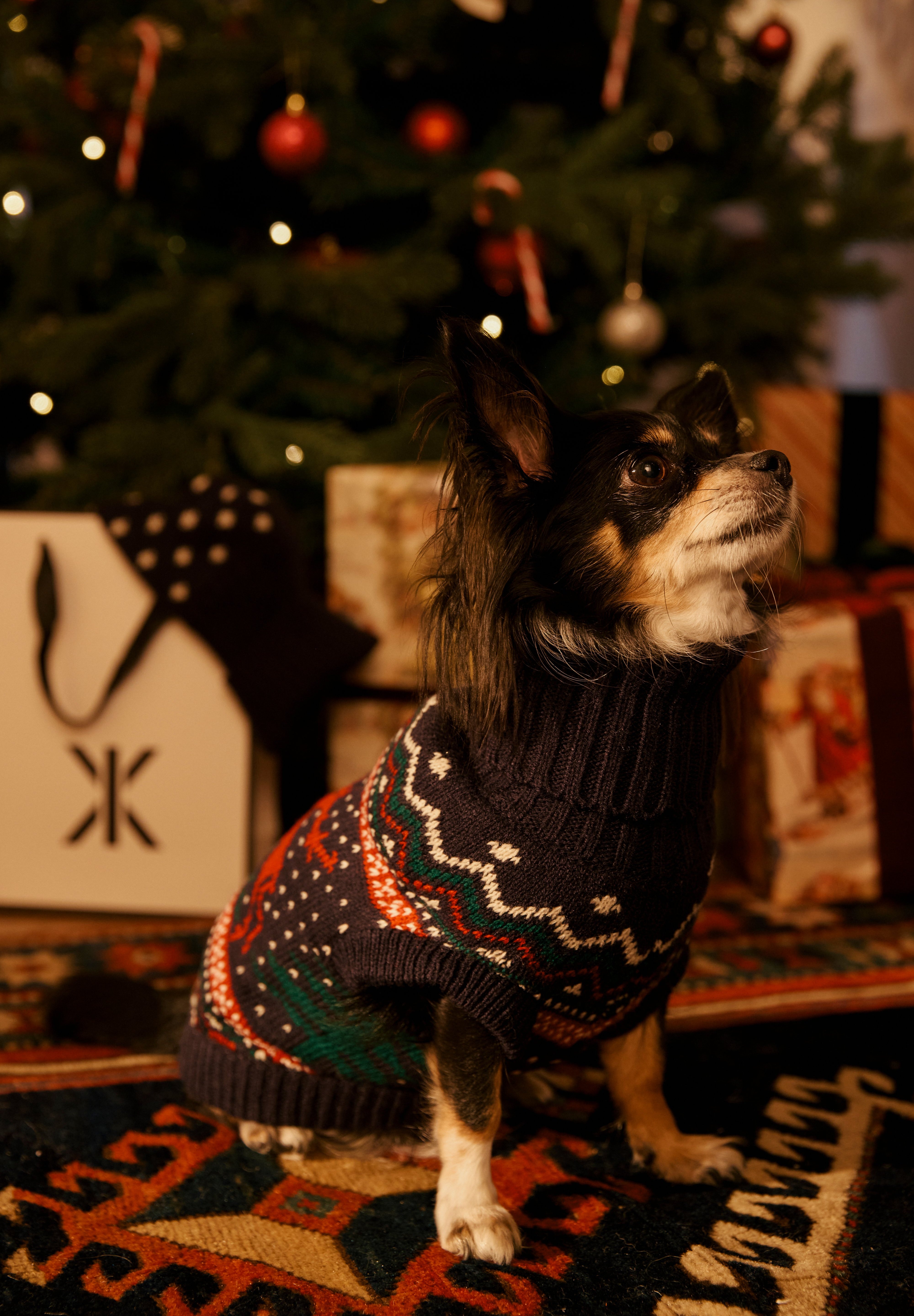 Holidays Are Coming Pet Suit Multi