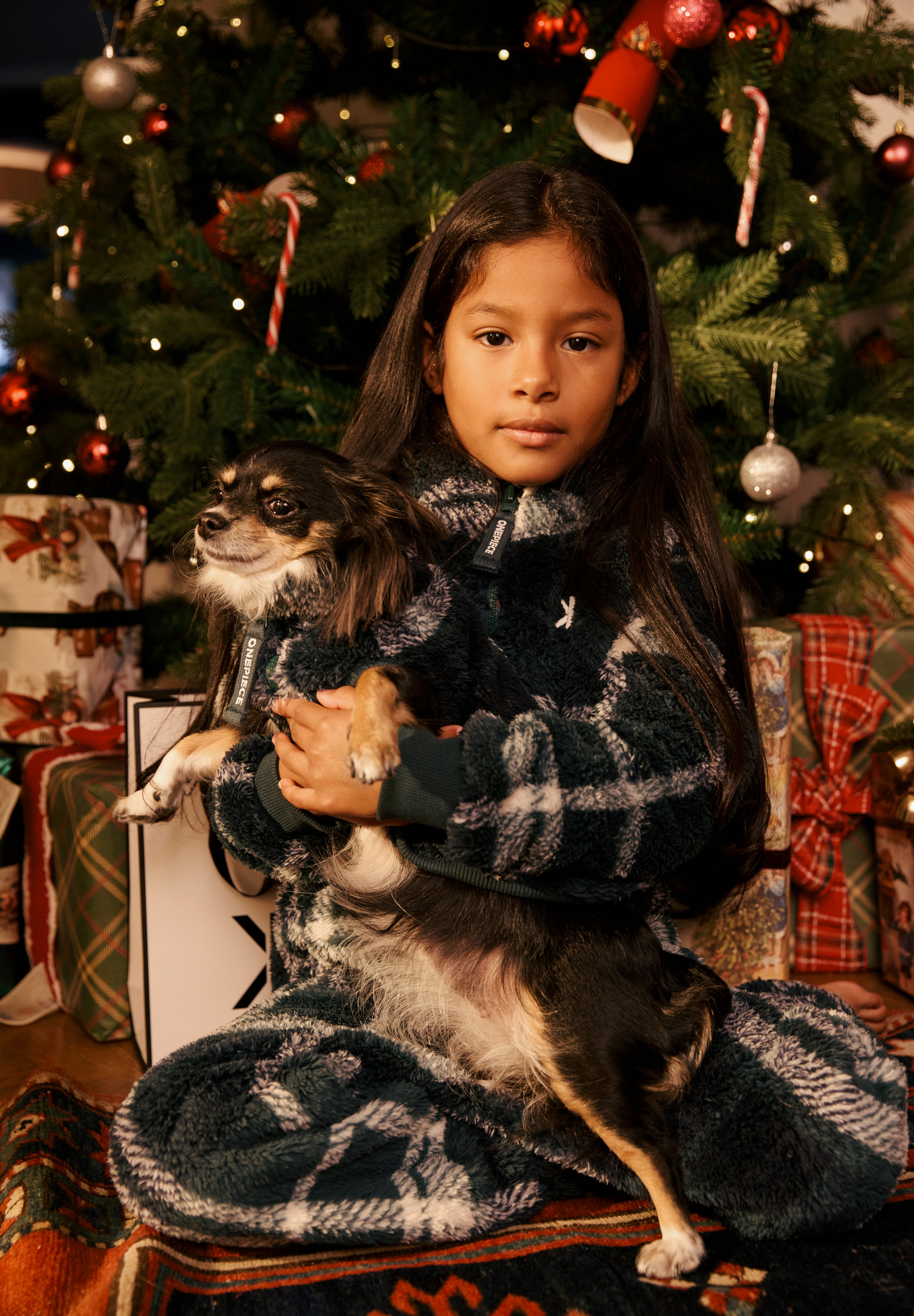 Puppy Pet Suit Green Check