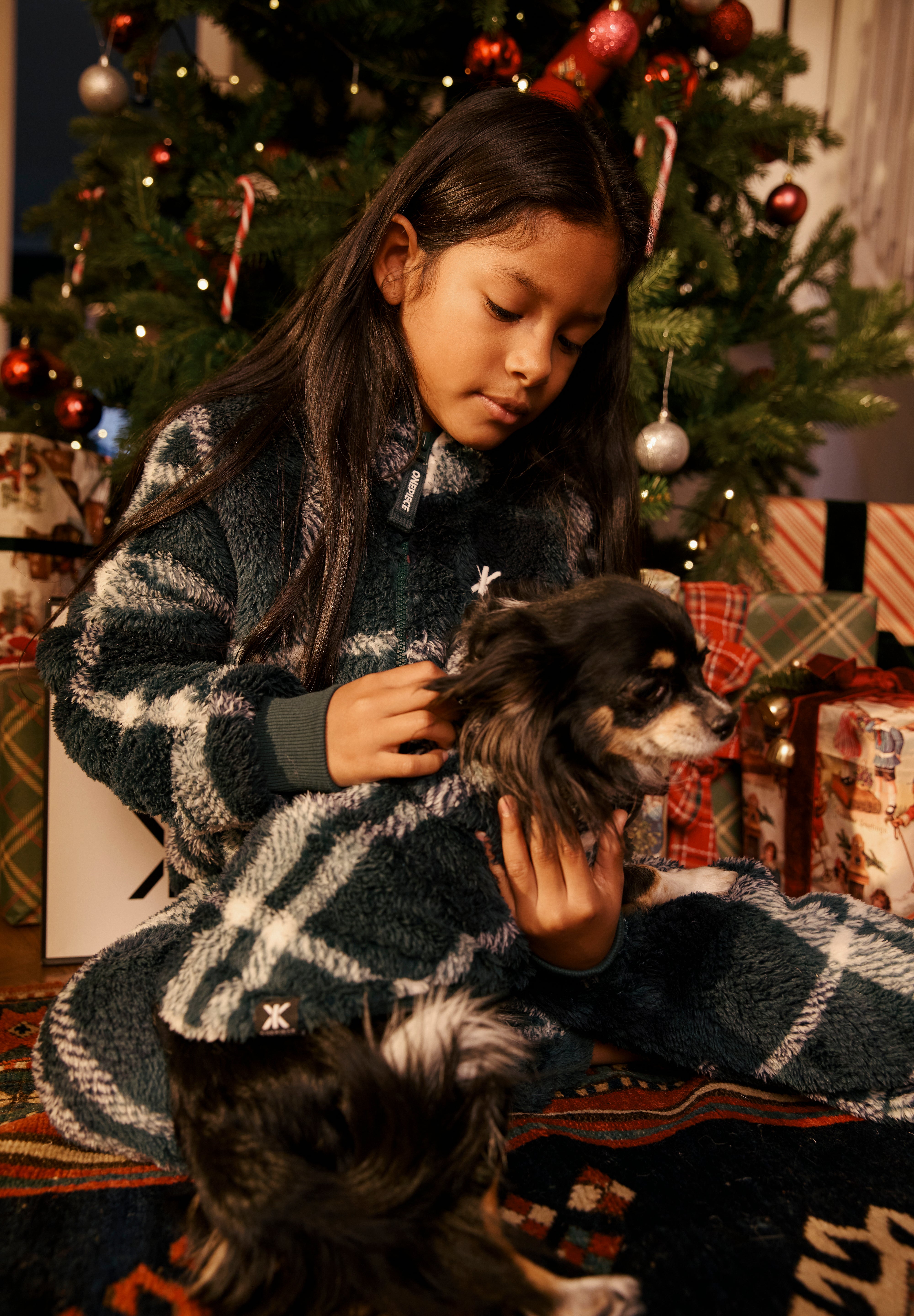 Puppy Pet Suit Green Check