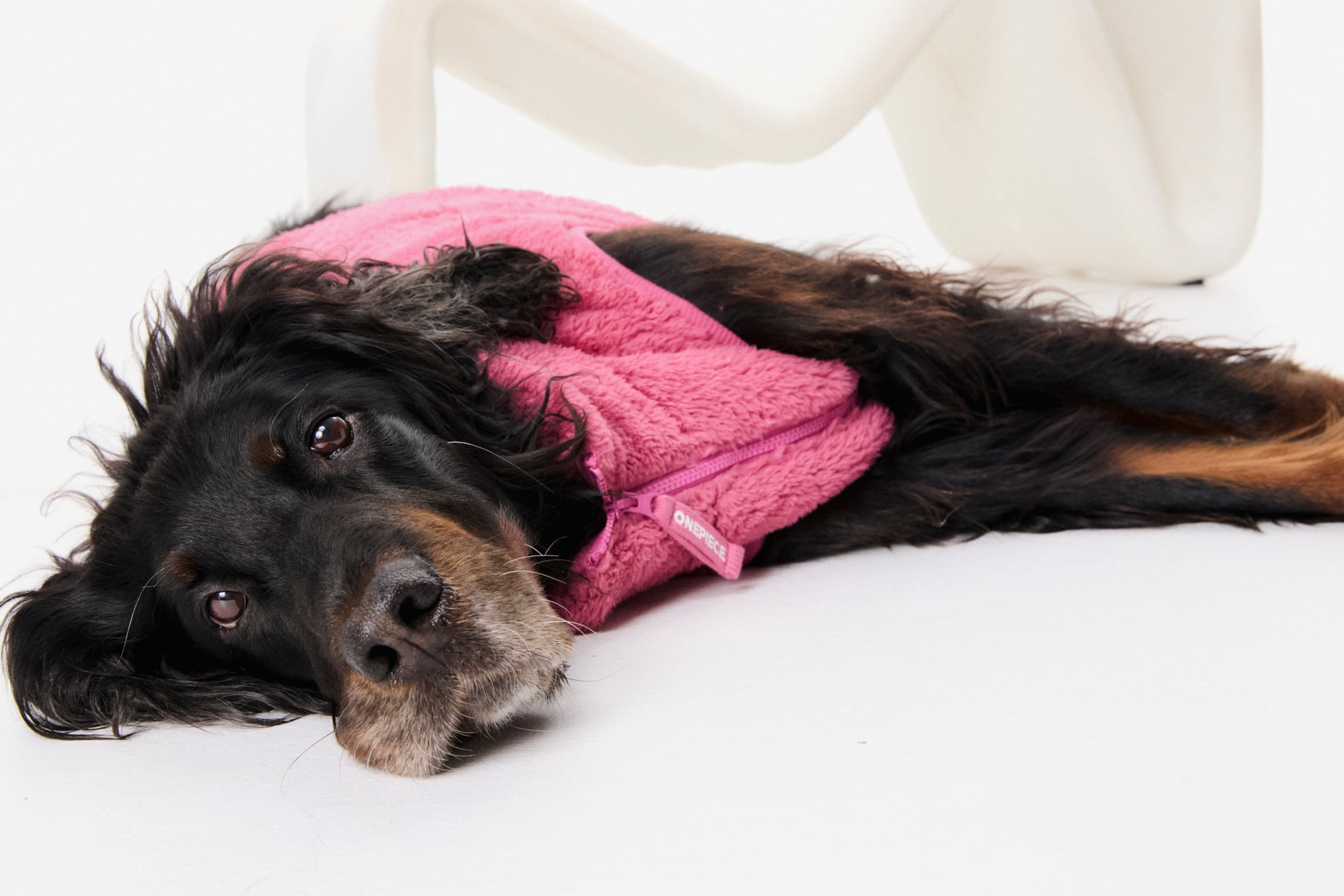 Puppy Pet Suit Berry Pink