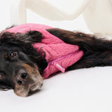 Puppy Pet Suit Berry Pink