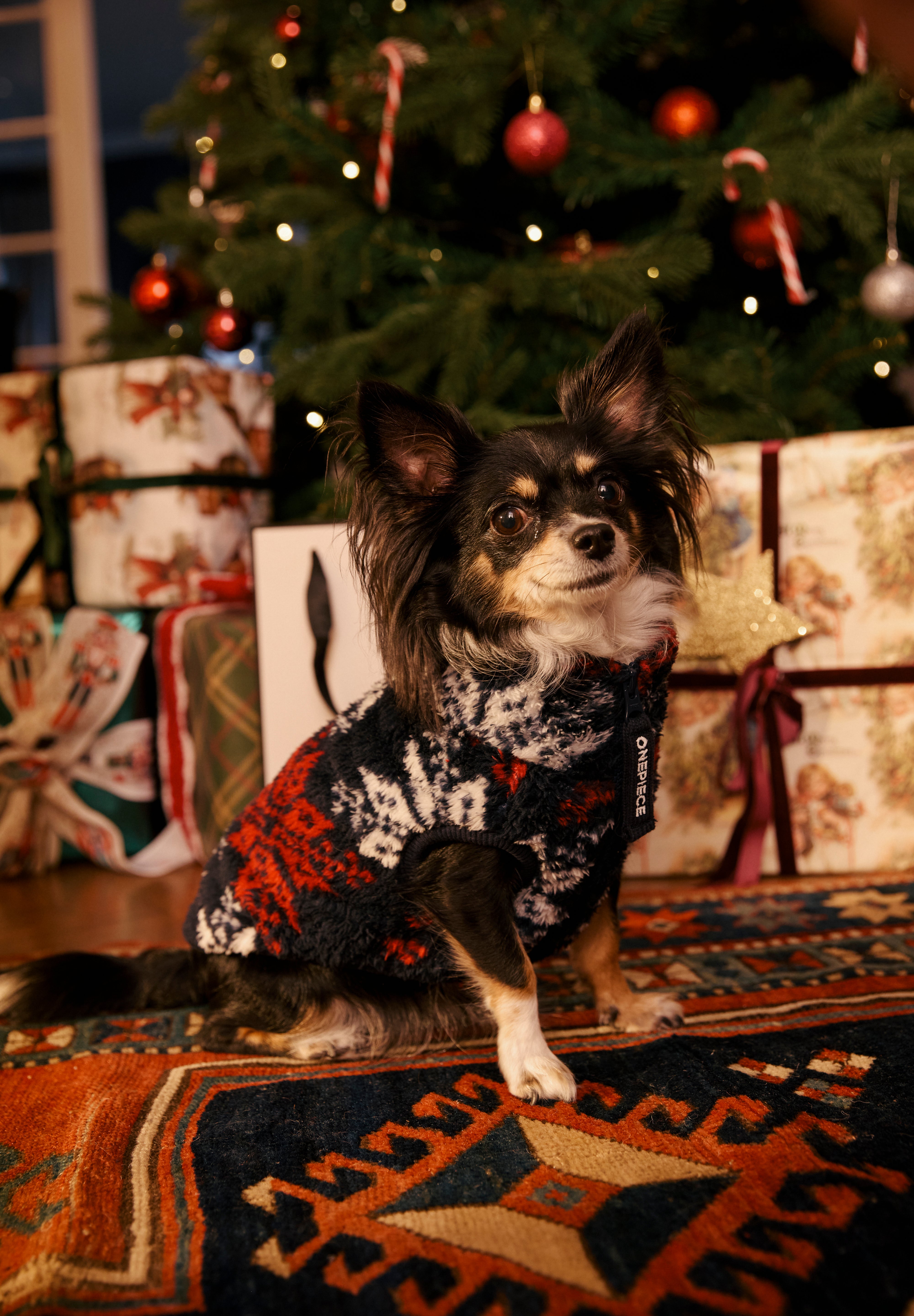 Puppy Pet Suit Snowstar