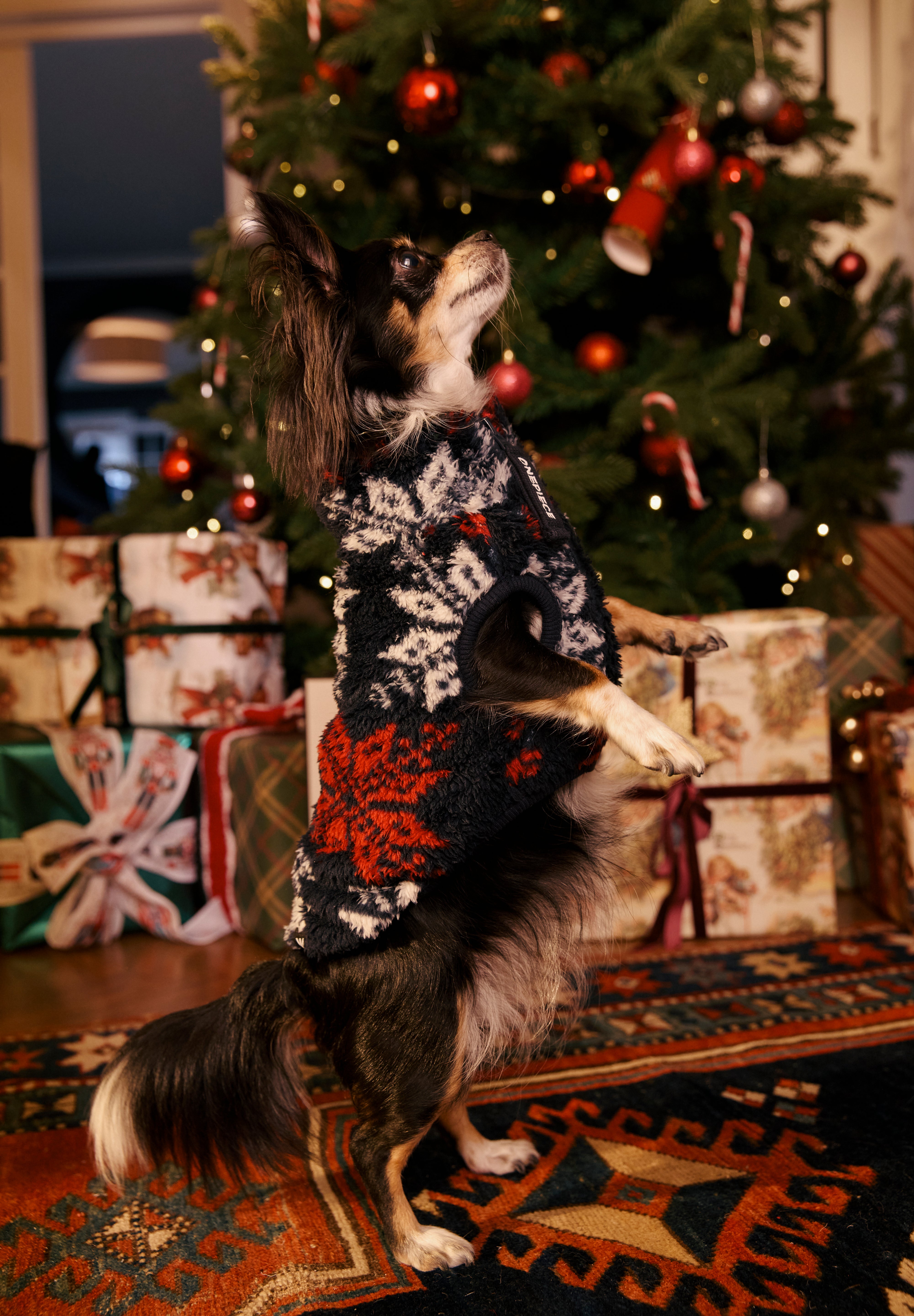 Puppy Pet Suit Snowstar