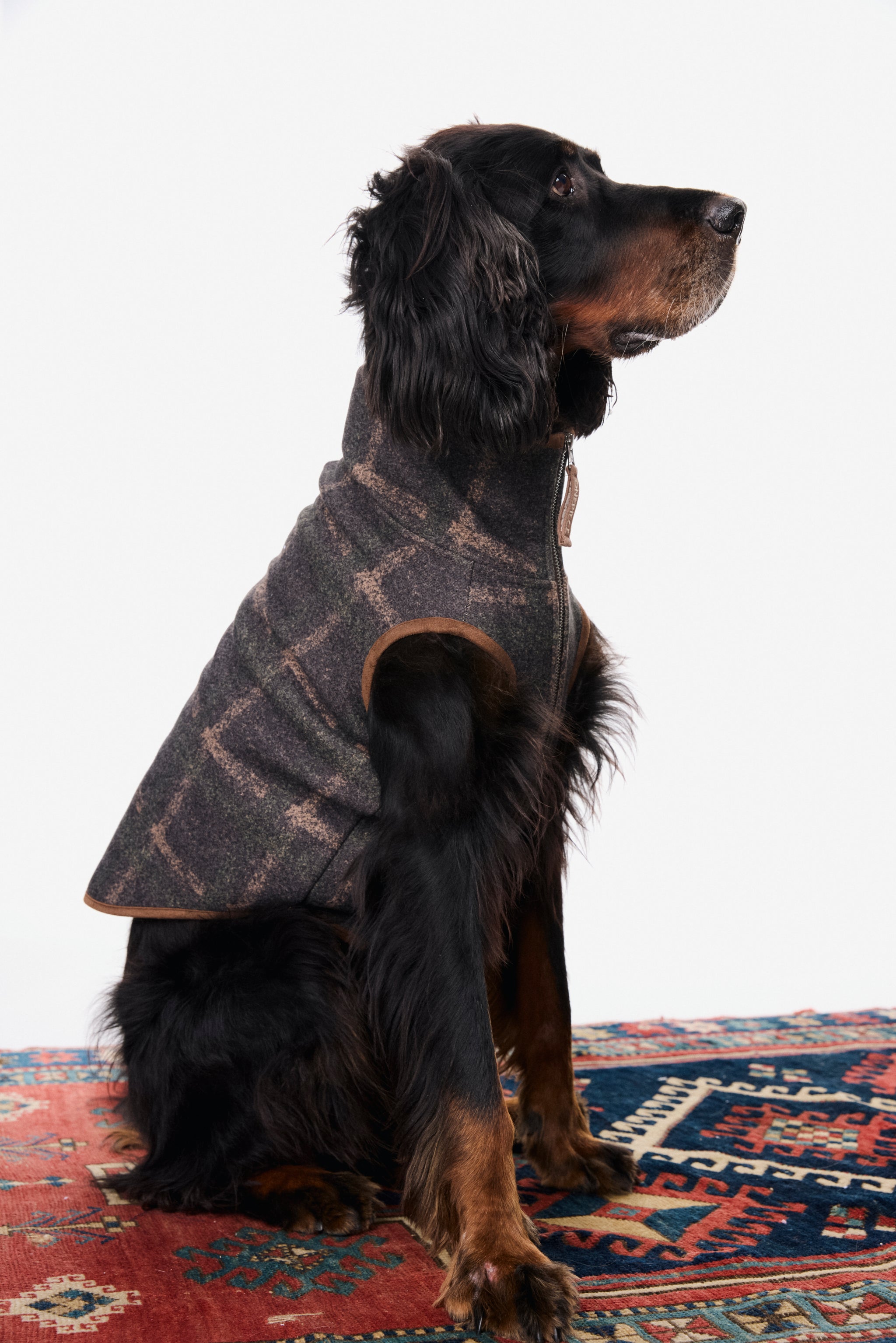 Good Chill Hunting Pet Suit Green