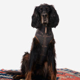 Good Chill Hunting Pet Suit Green