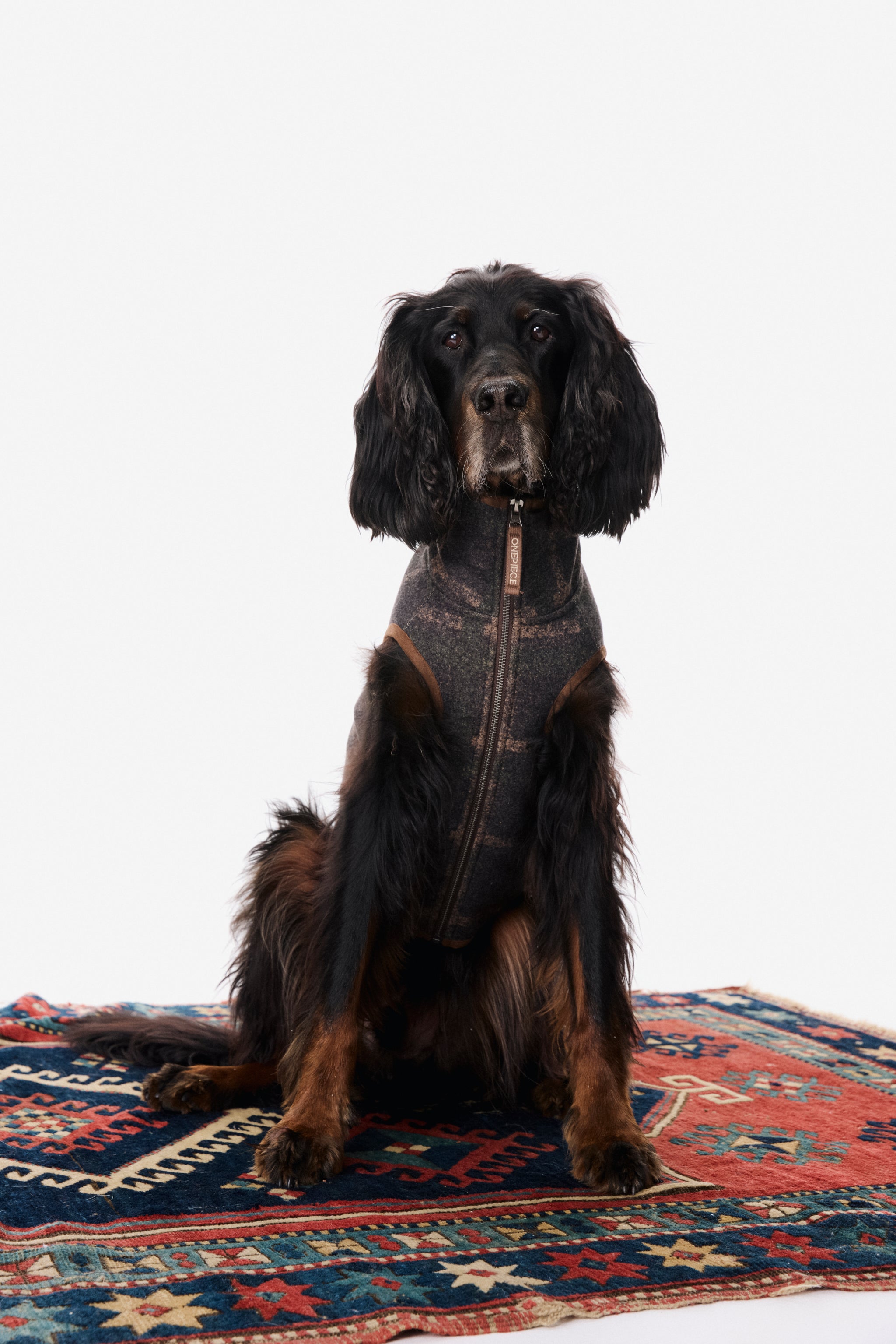 Good Chill Hunting Pet Suit Green