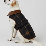 Good Chill Hunting PET Suit Green
