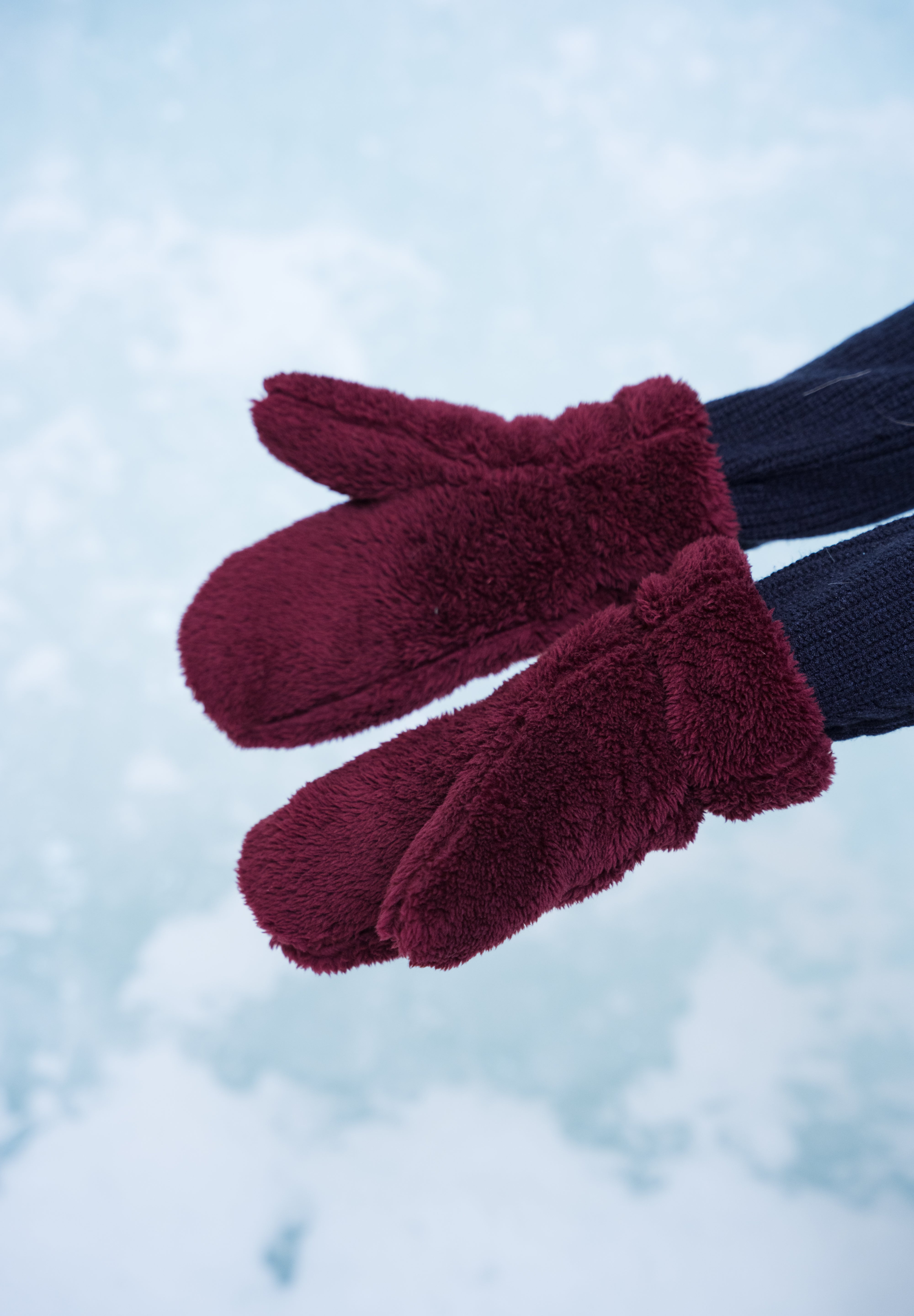 Puppy Mittens | Wine
